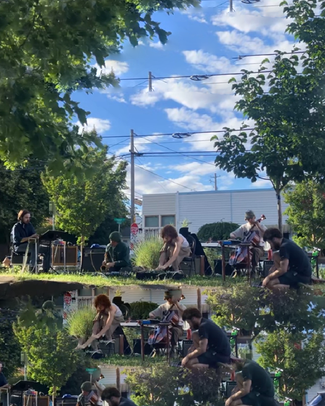 Free Water Shrew Ensemble